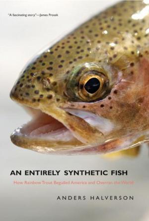 Cover of the book An Entirely Synthetic Fish: How Rainbow Trout Beguiled America and Overran the World by Anne Lawrence-Mathers