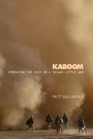 Cover of the book Kaboom by Regina Leeds