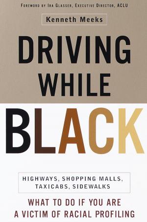 bigCover of the book Driving While Black by 