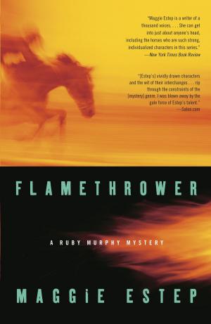 Cover of the book Flamethrower by Alison Golden, Gabriella Zinnas