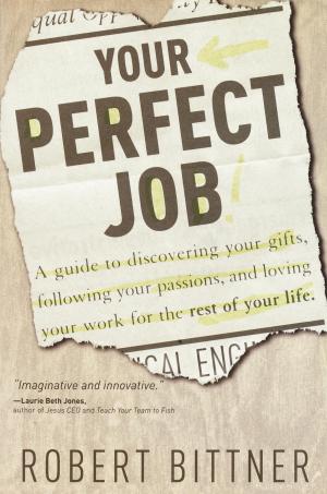 Cover of the book Your Perfect Job by Ori Brafman, Judah Pollack