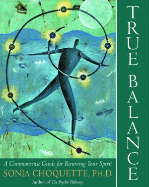 Book cover of True Balance