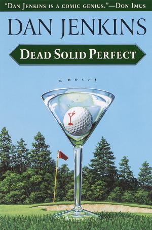 Cover of the book Dead Solid Perfect by Alan Dershowitz