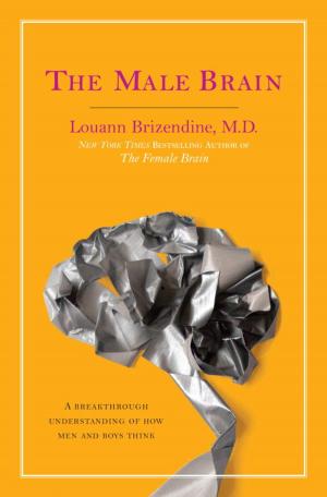 Cover of the book The Male Brain by Colleen Sheehan