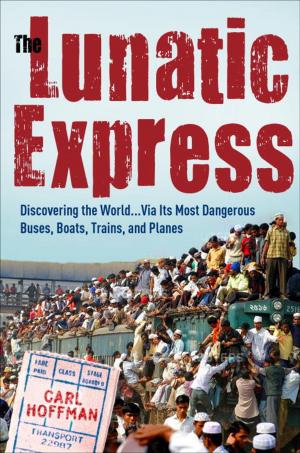 Cover of the book The Lunatic Express by Hervé Bellec