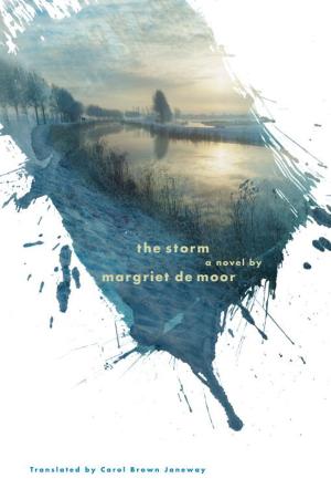 Cover of the book The Storm by Jean-Paul Deller, Guy Grosjean