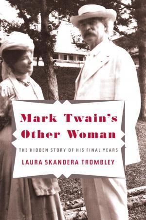 bigCover of the book Mark Twain's Other Woman by 