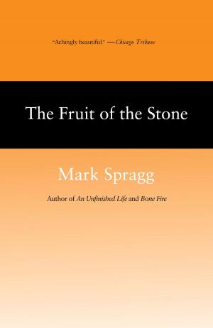 Cover of the book The Fruit of Stone by Carolyn Parkhurst