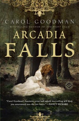 Cover of the book Arcadia Falls by Delly (1875-1949)