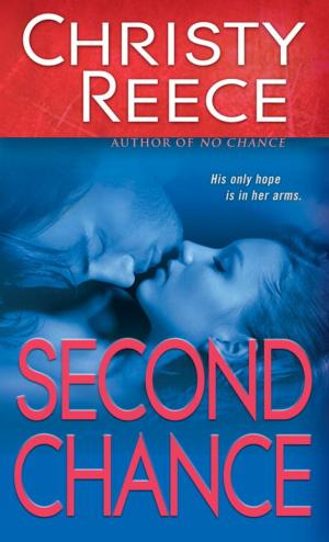 Cover of the book Second Chance by Harry Turtledove