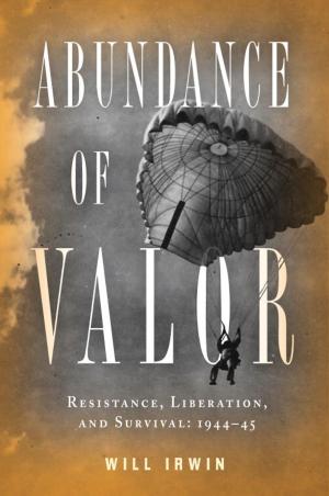 Cover of the book Abundance of Valor by Bobbie Ann Mason