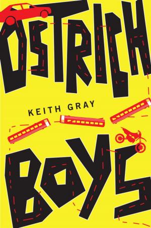 Cover of the book Ostrich Boys by Katy Kelly