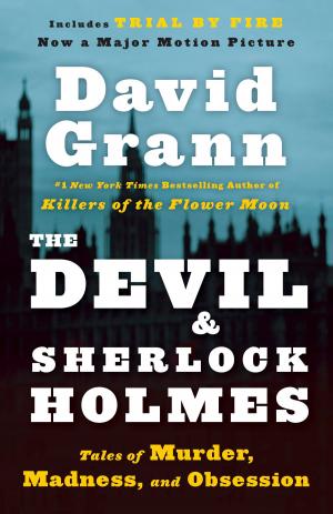 Cover of the book The Devil and Sherlock Holmes by Daniel Kehlmann