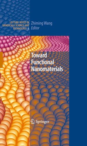 Cover of the book Toward Functional Nanomaterials by Alexander Mielke, Tomáš Roubíček