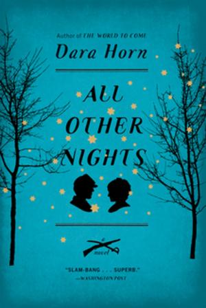 Cover of the book All Other Nights: A Novel by Jeanne Marie Beaumont