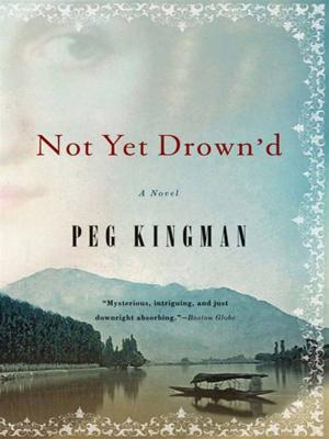 Cover of the book Not Yet Drown'd: A Novel by Patricia Nelson Limerick, Ph.D.