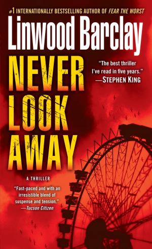 Cover of the book Never Look Away by Kay Hooper