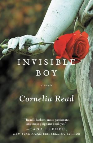 Cover of the book Invisible Boy by K.J. Doughton