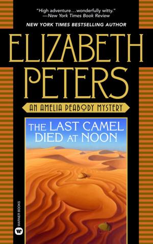 Cover of the book The Last Camel Died at Noon by Sara Blaedel