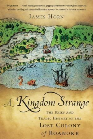 bigCover of the book A Kingdom Strange by 