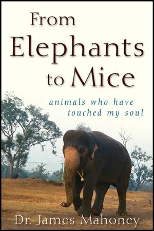 Cover of the book From Elephants to Mice by Rabbi Levi Meier
