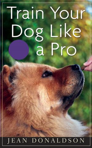 Cover of the book Train Your Dog Like a Pro by Joan Breibart
