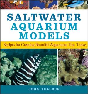 Book cover of Saltwater Aquarium Models