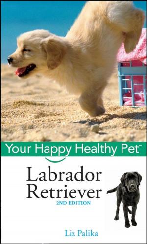 Cover of the book Labrador Retriever, with DVD by Steve Bodansky, Ph.D., Vera Bodansky, Ph.D.