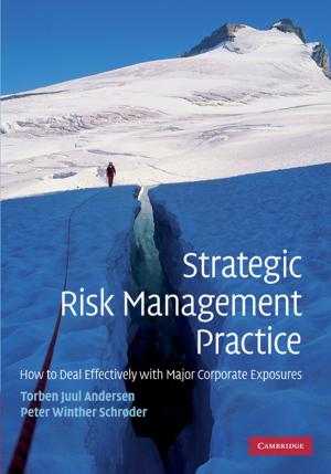 Book cover of Strategic Risk Management Practice