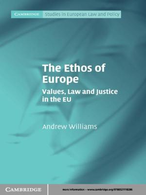 Cover of the book The Ethos of Europe by David A. Brannan, Matthew F. Esplen, Jeremy J. Gray