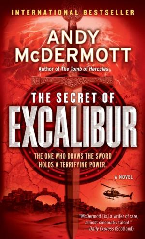 Book cover of The Secret of Excalibur