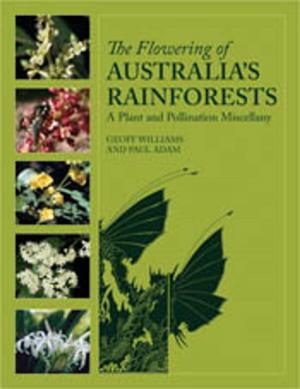 Book cover of The Flowering of Australia's Rainforests