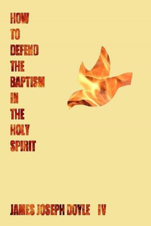Cover of the book How To Defend The Baptism In The Holy Spirit by Kerryn Phelps, Craig Hassed