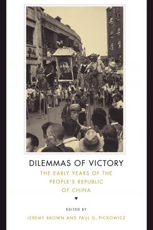 Cover of the book DILEMMAS OF VICTORY by Martin R. Delany