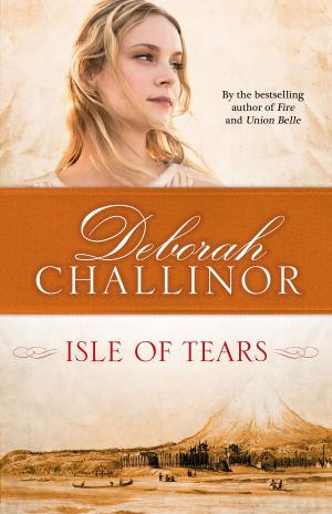 Cover of the book Isle of Tears by Avi