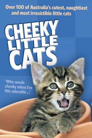 bigCover of the book Cheeky Little Cats by 