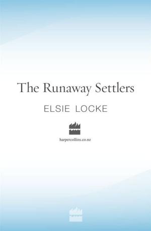 Cover of the book The Runaway Settlers by Dianne K. Salerni