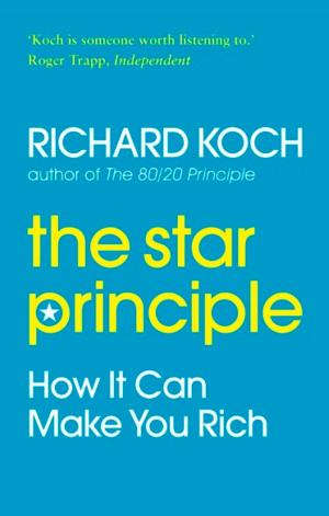Cover of the book The Star Principle by Liisa Puolakka, Michiel Maandag
