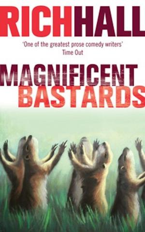 Cover of the book Magnificent Bastards by Joanna Hodgkin