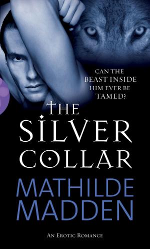 Cover of the book The Silver Collar by Rick Glanvill