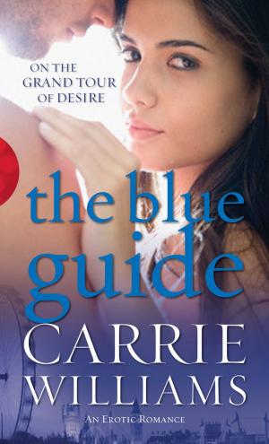 Cover of the book The Blue Guide by Dr Dorothy Shepherd