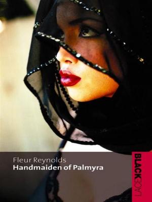 Book cover of Handmaiden of Palmyra
