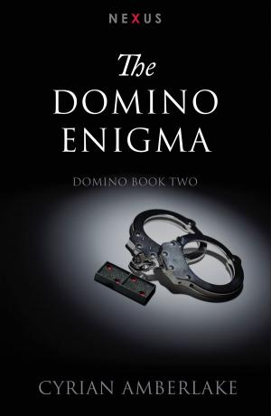 Cover of the book The Domino Enigma by Zainab Jagot Ahmed