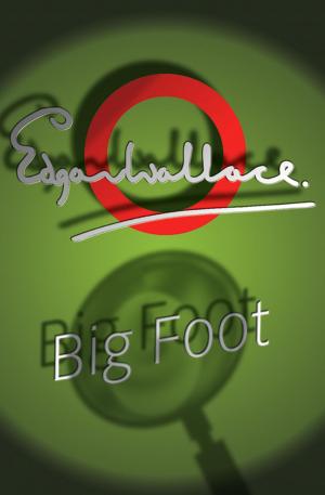 Cover of the book Big Foot by Scott L. Miller