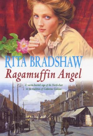 Cover of the book Ragamuffin Angel by Frank Barnard