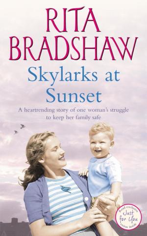 Cover of the book Skylarks At Sunset by Penny Vincenzi