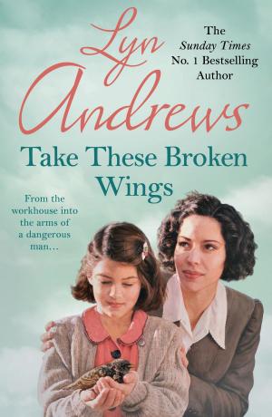 Cover of the book Take these Broken Wings by Colette McBeth