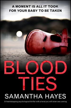 Cover of the book Blood Ties: A heartstopping psychological thriller with a twist you will never see coming by Amy Myers
