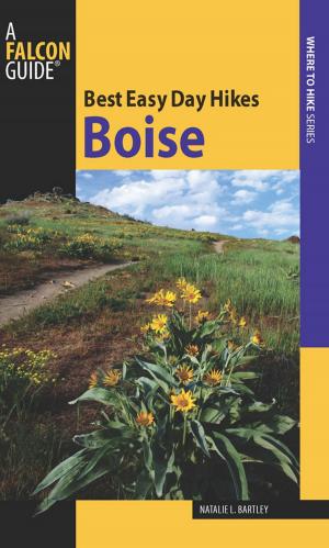 Cover of the book Best Easy Day Hikes Boise by Mary Skjelset, Heidi Radlinski