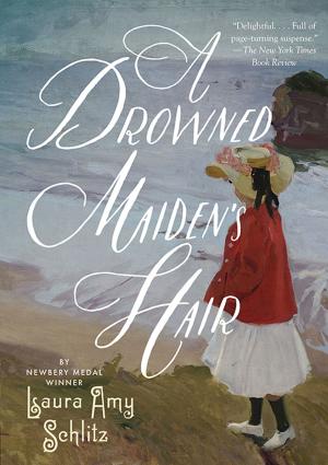 Cover of the book A Drowned Maiden's Hair by Ammi-Joan Paquette